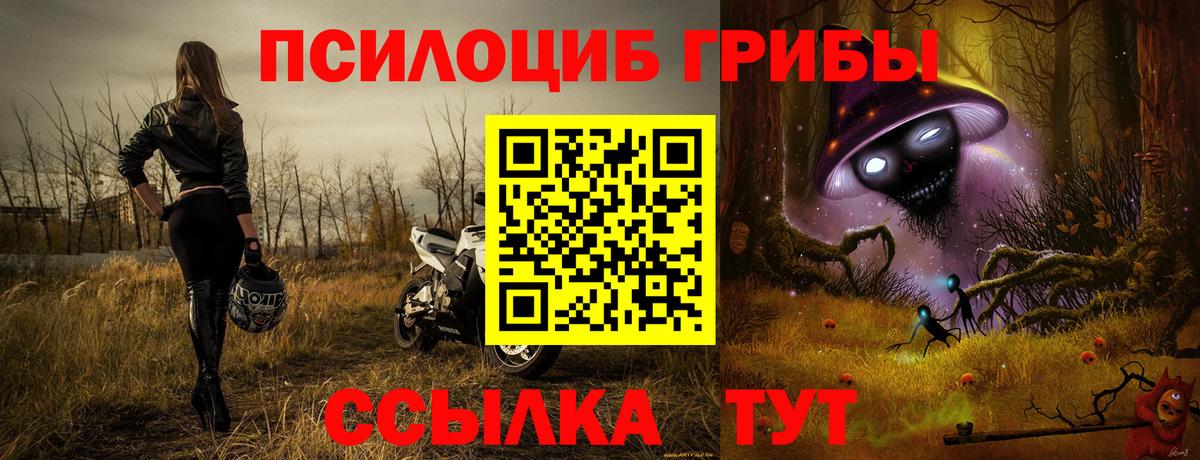 NBOMe  Меф МЯУ МЯУ   Cocaine  Купить наркотики цена  MDMA  Щёлково  Гашиш  Каннабис  Вход с VPN 
