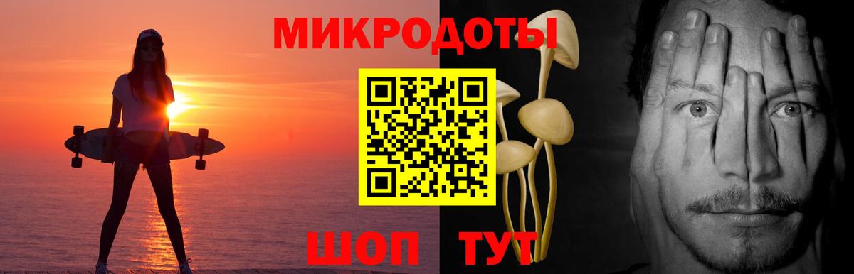 Галлюциногенные грибы Psilocybine cubensis  Псилоцибиновые грибы прущие грибы  Щёлково  Вход с VPN 